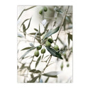 Scandinavian Green Leaves Reeds Posters Boho Wall Art Axyaa Canvas Prints