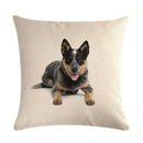 Axyaa Dog Cushion Covers Collection