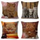 Axyaa British Shorthair Russian Blue Cat Cushion Cover - Cute Pet Animal Pillowcase
