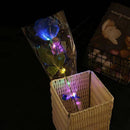 Axyaa Glowing LED Rose Flowers - Romantic Valentine's Day Gift