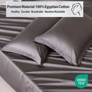 Axyaa Organic Egyptian Cotton 800 TC Pillow Cases - Standard Queen King Sizes