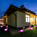 Axyaa Flamingo Solar Stake Lights for Garden - Outdoor Lawn Decorations and Ornaments