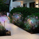 Axyaa Solar Garden Light - Waterproof LED Outdoor Lamp with Auto On/Off - Decorative Yard/Patio Lighting