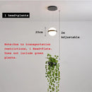 Axyaa Nordic Plant LED Bedside Chandelier - Indoor Living Room Lighting