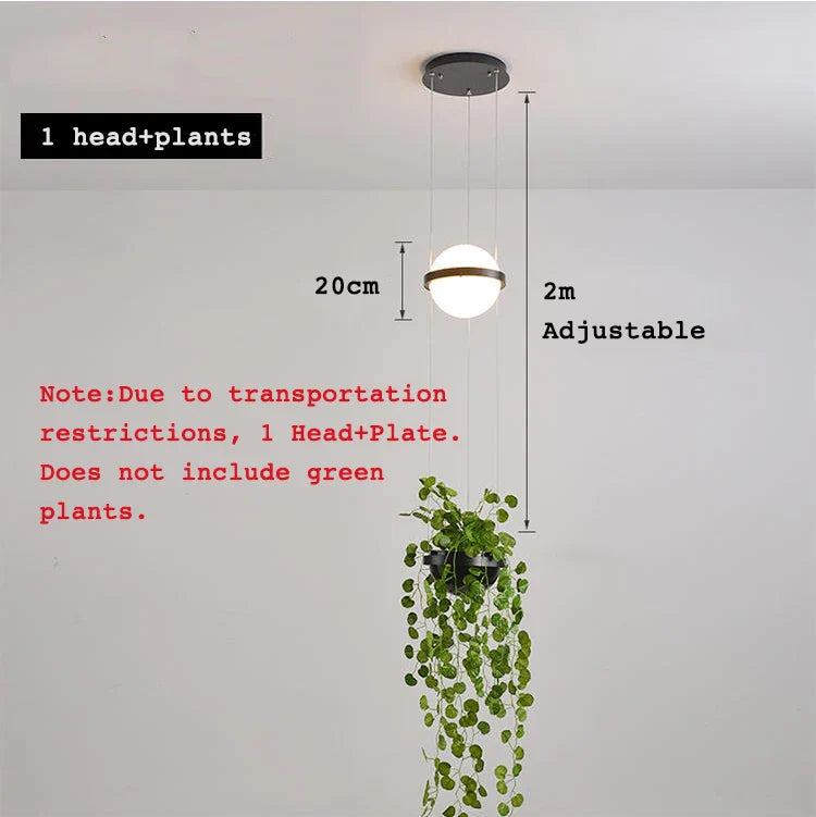 Axyaa Nordic Plant LED Bedside Chandelier - Indoor Living Room Lighting