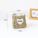 Axyaa Hand-woven Straw Flower Pots | Eco-Friendly Plant Fiber Baskets & Ornaments
