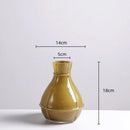 Axyaa Geometric Glass Vase Hydroponics Terrarium Home Decor
