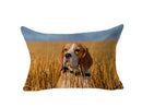 Axyaa Dog & Cat Pattern Linen Cushion Cover for Living Room Decor