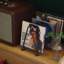 Axya Metal Birdie Bookshelf Dish Organizer for Home Storage & Decoration