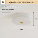 Axyaa Milky White Glass Ceiling Lamps - Minimalist Nordic Style