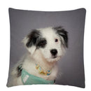 Axyaa Dog Art Print Polyester Cushion Cover for Home Sofa Car Decor