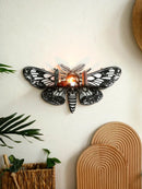 Axyaa Dragonfly Butterfly Crystal Shelf for Halloween Party Wall Decor Gothic Home Display