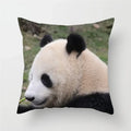 Axyaa Panda Print Polyester Cushion Cover - 45x45cm