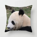Axyaa Panda Print Polyester Cushion Cover - 45x45cm
