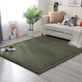 Axyaa Coral Fleece Soft Area Rug for Living Room, Bedroom, or Yoga Mat