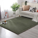 Axyaa Coral Fleece Soft Area Rug for Living Room, Bedroom, or Yoga Mat