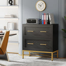 Axyaa 2 Drawer Lateral File Cabinet for Letter/Legal/A4 Size, Modern File Storage