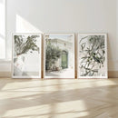 3-Piece Axyaa City Art Olive Tree Wall Printing Set.