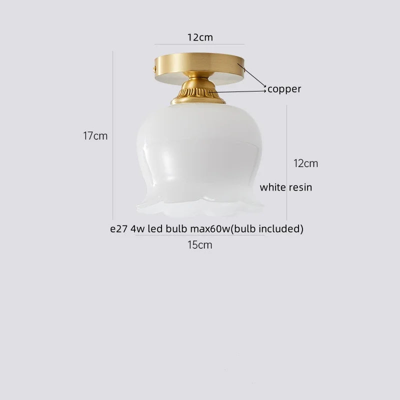 Axyaa Copper Glass LED Ceiling Lamp - Modern Indoor Lighting Fixtures