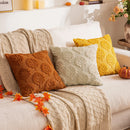 Axyaa Fall Leaf Squirrel Embroidery Pillowcase | Thanksgiving Sofa Decoration 45x45/50x50cm
