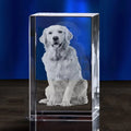 Axyaa Crystal Pet Memorial Keepsake - Personalized Sympathy Tribute Gift for Beloved Departed Pet