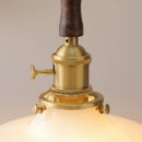 Axyaa Nordic Glass LED Pendant Lamp for Dining Room Bedroom Bar