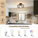 Axyaa American Birdcage Iron Light Fixture, Industrial Retro Style for Living Room, Bedroom
