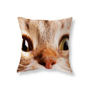 Axyaa Black Cat Cushion Cover for Sofa, Car, Office, Game Chair - Cute & Funny