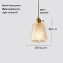 Axyaa Glass Pendant Chandelier Lighting E27 Hang Lamp for Home Decoration