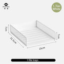Axyaa Metal File Tray - Office Document Storage Rack