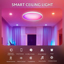 Axyaa Smart RGB Ceiling Light: Voice Control, Dimmable, WiFi, App Control