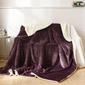 Axyaa Nordic Light Luxury Lamb Wool Flannel Double Layer Thick Quilt Blanket