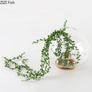 Axyaa Circular Glass Vase Hydroponics Flower Pot for Desk Decoration and Floral Arrangement