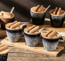 Axya Ceramic Seasoning Pot Set with Spoon Cover - Retro Japanese Style Salt Pepper Oil Jars