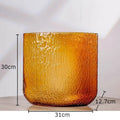 Axyaa Modern Glass Vase Hydroponic Flower Pot for Home Decor