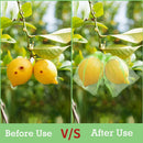 Axyaa Fruit Protection Grow Bags 100Pcs: Reusable Drawstring Pest Barrier for Garden Vegetables