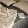 Axyaa Silk Pillowcase Set - 100% Mulberry Silk, Protects Hair and Skin