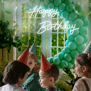 Axyaa Neon Happy Birthday Mr & Miss Lighted Sign Clear Background LED Decoration