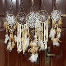 Axyaa Dream Catcher Feathers Set for Home Wall Hanging Decoration