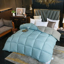 Axyaa Winter Duvet - White Goose Down Core, Double Thickened Quilt
