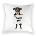 Cute Dog Cat Pillow Cover 45X45CM for Home Decor - Axyaa Brand