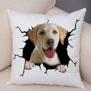 Axyaa Cute Dog Print Pillow Case for Home Decor and Comfort