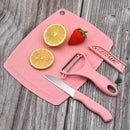 Axyaa Stainless Steel Cutter Set with Wheat Straw Board - Kitchen Tools