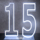 Axyaa Neon Double Digit Acrylic Digital Light for Birthday Party