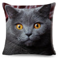 Axyaa British Shorthair Russian Blue Cat Cushion Cover - Cute Pet Animal Pillowcase