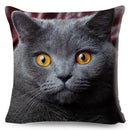 Axyaa British Shorthair Russian Blue Cat Cushion Cover - Cute Pet Animal Pillowcase