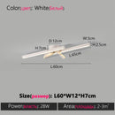 Axyaa LED Line Ceiling Lamp for Modern Living Room, Dining Room, and Bedroom Lighting