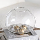 Axyaa Clear Glass Geometric Vase with Golden Ball - Home Decor Floral Arrangement Accessories