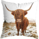 Axyaa Highland Cat Cow Yak Animal Pillowcase for Stylish Home Decor