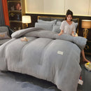 Axyaa Double-Sided Milk Wool Lamb Wool Warm Thick Winter Quilt Core